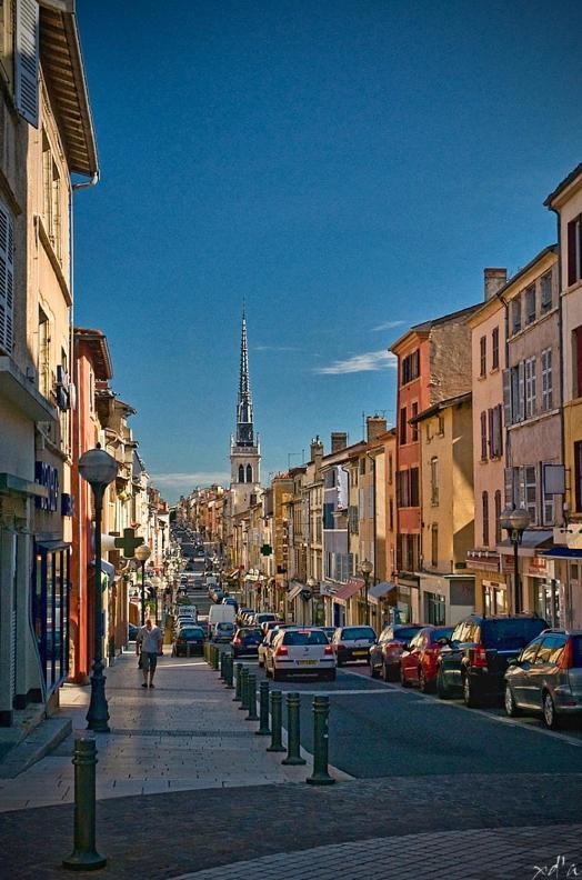 דירות Villefranche-sur-Saône Le Cosy Shelby Proche Gare 150M מראה חיצוני תמונה